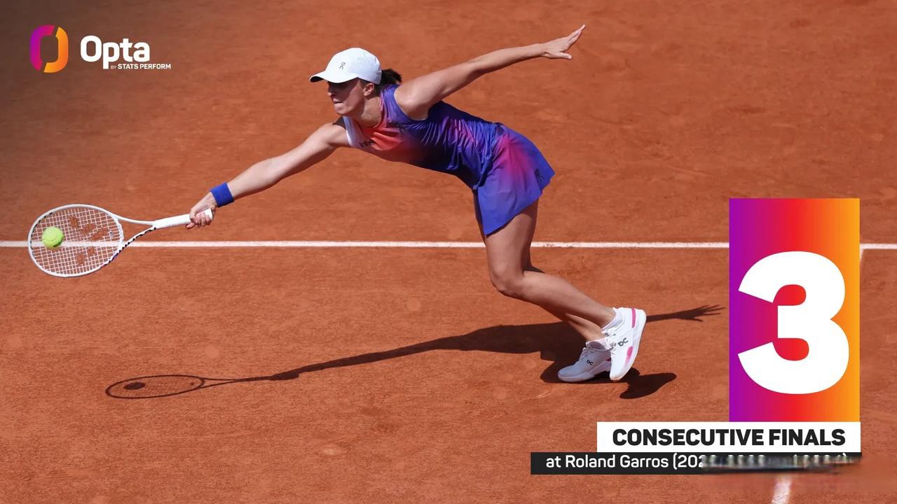 斯瓦泰克个人资料